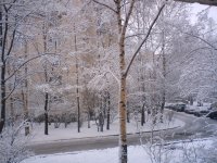 Михаил Тонких, 25 октября 1954, Санкт-Петербург, id3049198